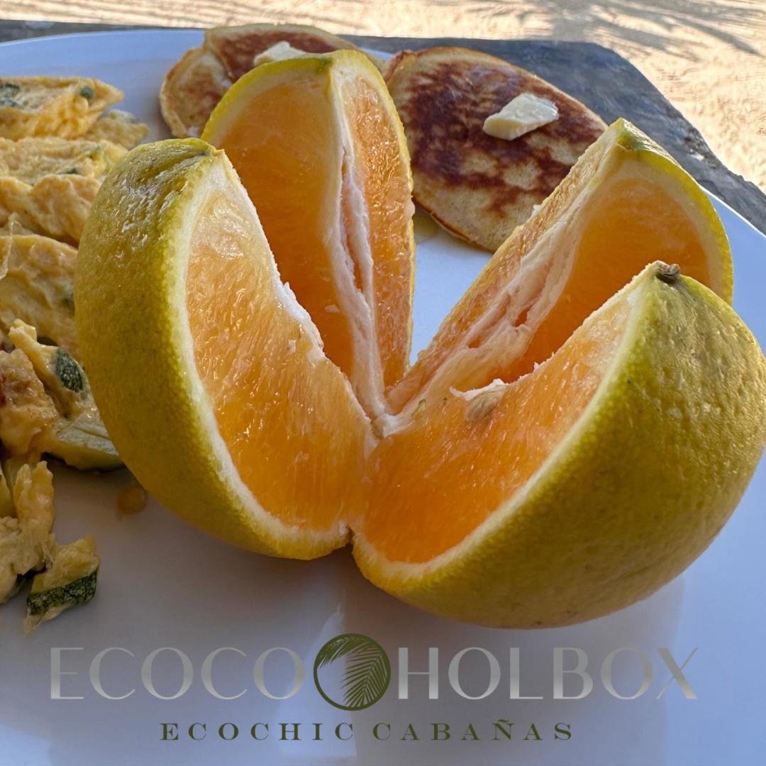 Ecoco Holbox - Ecochic - Cabanas De Madera - Holbox Retreat Экстерьер фото
